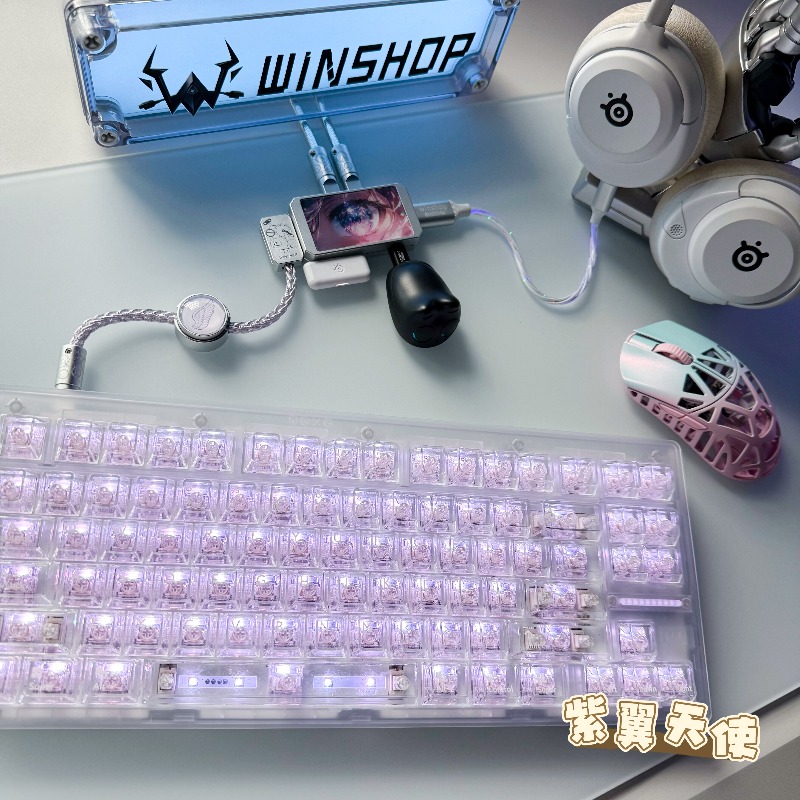 WINSHOP Esports HUB Hub USB do - Desk Setup Accessories Aesthetic avis et prix