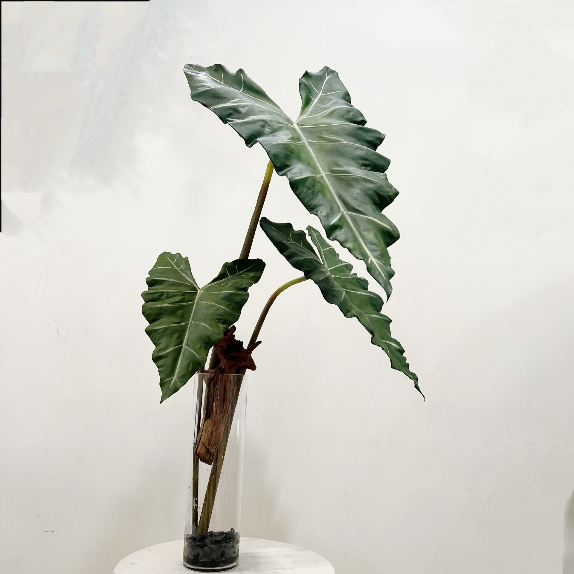 Plante verte en PU simulée, se - Desk Setup Equipment avis et prix